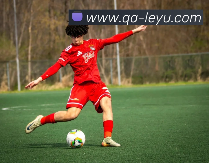 乐鱼体育APP 高清赛事图